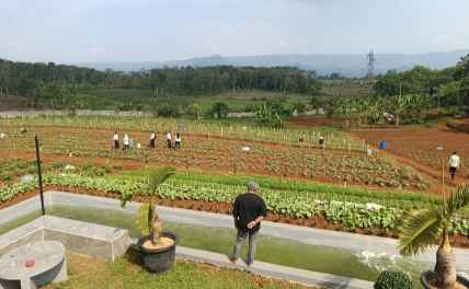 Kementerian Sekretariat Negara Tijau Program Ketahanan Pangan SAE Berkah Mandiri dan Peternakan Sapi di Lapas Kelas IIA Warungkiara IMG_20260513_143903.jpg